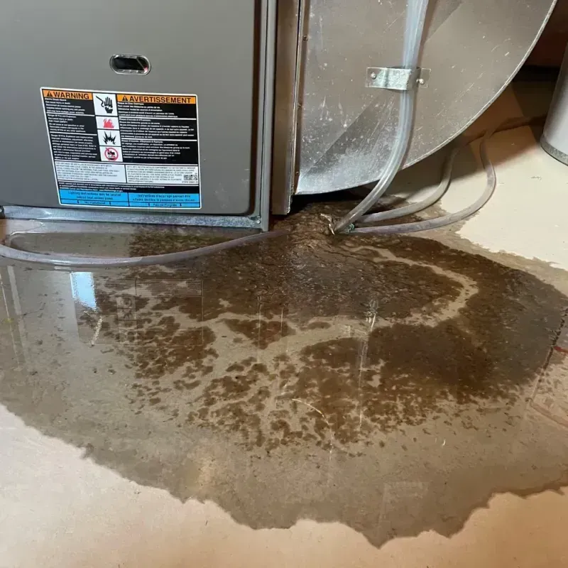 Appliance Leak Cleanup in Venice, FL